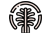 Palm